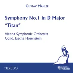 Symphony No.1 in D Major 