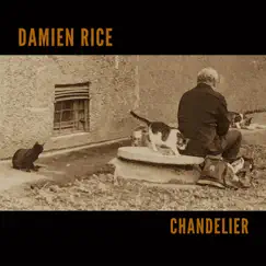Chandelier - Single by Damien Rice album reviews, ratings, credits
