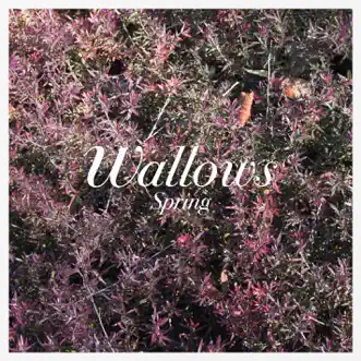 Spring - EP by Wallows album download