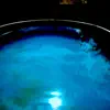 Bottomless Backyard Pool - Single album lyrics, reviews, download
