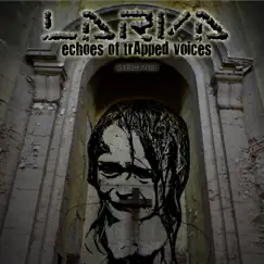 Echoes of Trapped Voices Song Lyrics