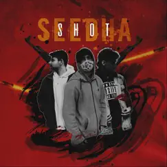 Seedha Shot - Single by Ace & IgnitedPandits album reviews, ratings, credits