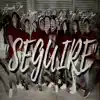 Seguiré (feat. Armando Don, Los Elegidos, Zeven Chase & Zoey Joyce) - Single album lyrics, reviews, download
