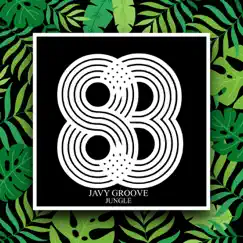 Jungle - Single by Javy Groove album reviews, ratings, credits