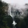 Waters of Siloam - EP album lyrics, reviews, download