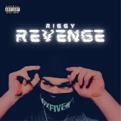 Revenge - Single by Riggy album reviews, ratings, credits