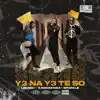 Ye Na Ye Te So (feat. Kawabanga & Sparkle) - Single album lyrics, reviews, download