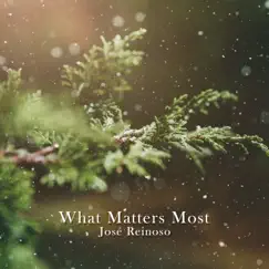 What Matters Most - Single by José Reinoso album reviews, ratings, credits