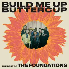 Build Me Up Buttercup (Mono) Song Lyrics