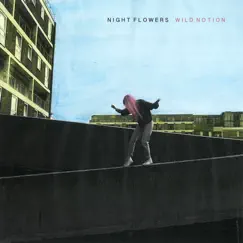 Wild Notion by Night Flowers album reviews, ratings, credits