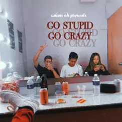 Go Stupid Go Crazy Song Lyrics