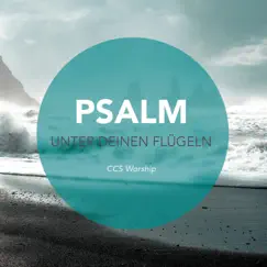 Mein Herz fasst Mut (Psalm 27) Song Lyrics