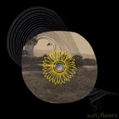 Sun_Flwers by Duobeatz album reviews, ratings, credits