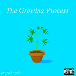 The Growing Process by DopeDorado album reviews, ratings, credits