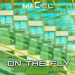 On the Fly - Single by Maciel album reviews, ratings, credits