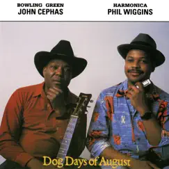Dog Days of August Song Lyrics