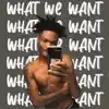 What We Want (feat. Devion, KJ Fiveash & Chapo) - Single album lyrics, reviews, download