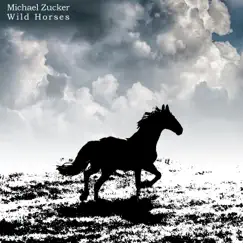 Wild Horses - Single by Michael Zucker album reviews, ratings, credits
