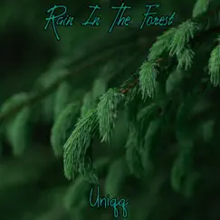 Rain In the Forest - Single by Uniqqmusic album reviews, ratings, credits