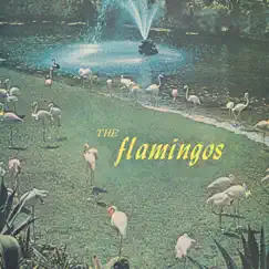 Flamingos by The Flamingos album reviews, ratings, credits