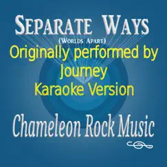 Separate Ways (Worlds Apart) (Originally Performed by Journey) [Karaoke Version] Song Lyrics