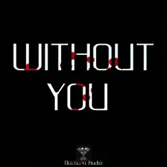 Without You (Instrumental) - Single by Diamond Audio album reviews, ratings, credits