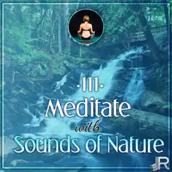 Meditate with Sounds of Nature – 111 Relaxing Tracks for Yoga Meditation, Relaxation Therapy for Massage, Reiki, Healing, Music for Deep Sleep by Music to Relax in Free Time album reviews, ratings, credits