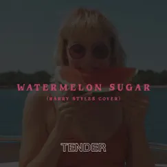 Watermelon Sugar - Single by TENDER album reviews, ratings, credits
