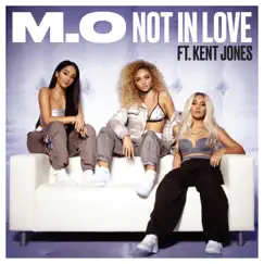 Not in Love (feat. Kent Jones) Song Lyrics