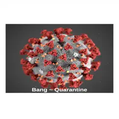 Quarantine - Single by B.A.N.G! album reviews, ratings, credits