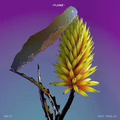 Say It (feat. Tove Lo) - Single by Flume album reviews, ratings, credits