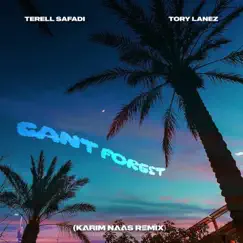 Can't Forget (Karim Naas Remix) [feat. Tory Lanez] - Single by Terell Safadi album reviews, ratings, credits