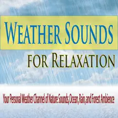 Rainfall (Weather Channel Sounds) Song Lyrics