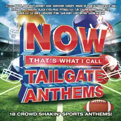 NOW That's What I Call Tailgate Anthems by Various Artists album reviews, ratings, credits