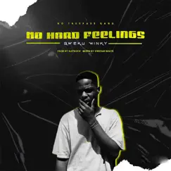 No Hard Feelings - Single by Qweku Winky album reviews, ratings, credits