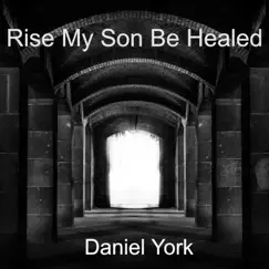 Rise My Son Be Healed - Single by Daniel York album reviews, ratings, credits