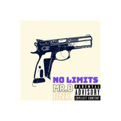 No Limits (feat. BNK) - Single by Mister.B album reviews, ratings, credits
