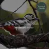 Artistic Form of Nature - Nature and its Art album lyrics, reviews, download