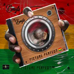 Picture Perfect (feat. Jada Kingdom) Song Lyrics