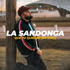 Que Tu Quieres (En Vivo) - Single by La Sandonga album reviews, ratings, credits