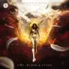 Fire, Blood & Stone - Single album lyrics, reviews, download