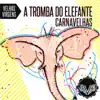 A Tromba do Elefante - Single album lyrics, reviews, download
