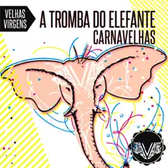 A Tromba do Elefante - Single by Velhas Virgens album reviews, ratings, credits
