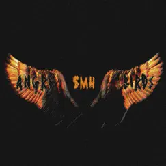 Angry Birds - Single by 5MH album reviews, ratings, credits