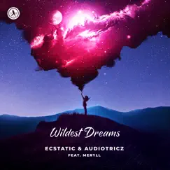 Wildest Dreams (feat. MERYLL) [Extended Mix] Song Lyrics