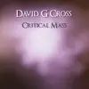Critical Mass - Single album lyrics, reviews, download