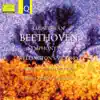 Beethoven: Symphony No. 5 - Wellington's Victory album lyrics, reviews, download