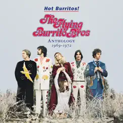 Hot Burrito #2 Song Lyrics