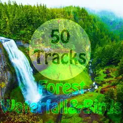 Clean Forest Waterfall and Birds Sounds Song Lyrics