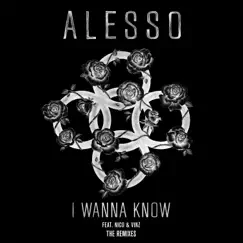 I Wanna Know (feat. Nico & Vinz) [Halogen Remix] Song Lyrics